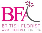 bfa-member-16-low-res