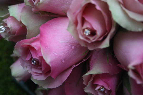 wedding & bridal flowers of Bournemouth, Dorset :: On The Wild Side Floral Designs