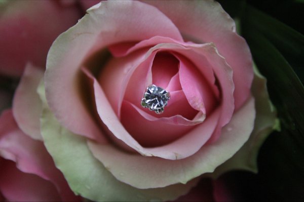 wedding & bridal flowers of Bournemouth, Dorset :: On The Wild Side Floral Designs