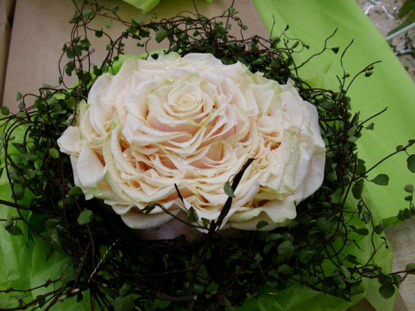 Wedding flowers, Tuckton, Bournemouth :: On The Wild Side Floral Designs