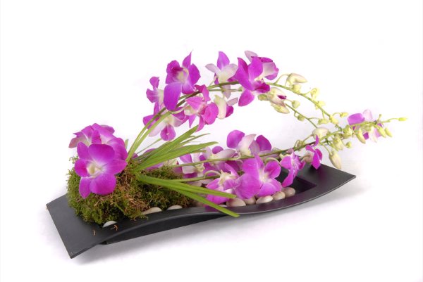 Commercial floral designs of Bournemouth, Dorset :: On The Wild Side Floral Designs