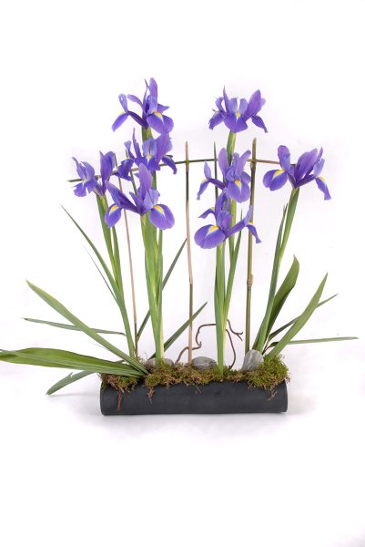 Commercial floral designs of Bournemouth, Dorset :: On The Wild Side Floral Designs